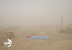 هامون، قربانی یک مهندسی سیاسی