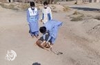 واکسیناسیون ۱۹ قلاده سگ در مانور کنترل هاری خاش