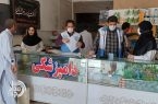 مهار مقاومت میکروبی / بیش از ۷۰۰ مورد رصد دارویی در دامپزشکی سیستان و بلوچستان