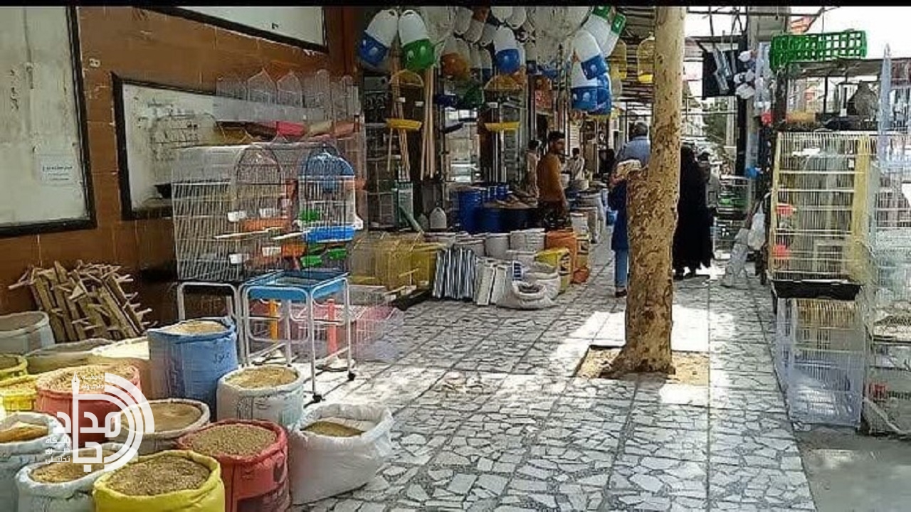 سد معبر؛ بینظمی مزمن شهری یا غفلت نهادهای ناظر در زاهدان؟