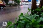 زاهدان زیر باران / اوج بارش‌ها در عباس‌آباد سمسور بزمان با ۲۷.۵ میلی‌متر