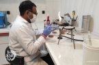 کنترل شبانه‌روزی کیفیت گوشت وارداتی در سیستان و بلوچستان تشدید شد