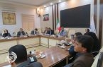 تأکید بر نظمدهی شورای اشتغال و تسریع ثبت تعهدات در سامانه رصد تأکید بر نظمدهی شورای اشتغال و تسریع ثبت تعهدات در سامانه رصد