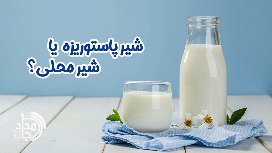 خطر پنهان در سفره سلامت/ هشدار صریح دامپزشکی درباره مصرف شیر خام