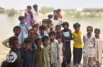 کلاس درس در قلب زیستگاه / کودکانِ «باهوکلات» حافظانِ نسل گاندو شدند