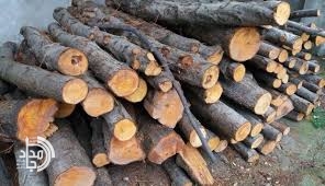 کشف ۱۰ تن چوب قاچاق در زاهدان/ طرح ضربتی مقابله با قاچاق فرآورده‌های جنگلی در سیستان و بلوچستان اجرا شد