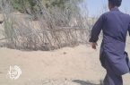 مهار طوفان‌های شن در زهک با اجرای بادشکن‌های غیرزنده/اجرای پروژه تثبیت شن‌های روان در «شهرک محمدشاهکرم» با هدف کاهش گرد و غبار و حفاظت از زیرساخت‌ها