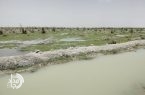 مهار طوفانهای شن در شمال سیستان و بلوچستان/ سیلابها به خدمت احیای زمین درآمدند مهار طوفانهای شن در شمال سیستان و بلوچستان/ سیلابها به خدمت احیای زمین درآمدند