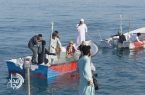 درک؛ کانون گردشگری تجربهمحور با برگزاری «Live Fishing Experience» درک؛ کانون گردشگری تجربهمحور با برگزاری «Live Fishing Experience»